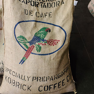 Burlap Bag Especially Preparred for Kobrick Coffee Company